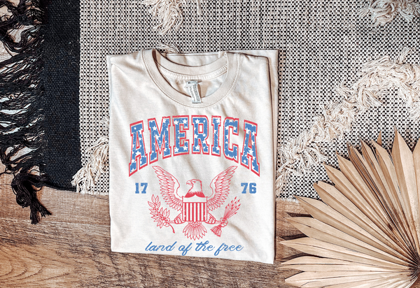 America Graphic T Preorder Adult